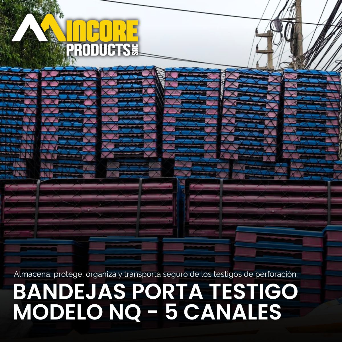 𝗗𝗘𝗦𝗣𝗔𝗖𝗛𝗢 𝗗𝗘 𝗕𝗔𝗡𝗗𝗘𝗝𝗔𝗦 𝗣𝗢𝗥𝗧𝗔 𝗧𝗘𝗦𝗧𝗜𝗚𝗢 𝗡𝗤 | 𝗗𝗘𝗦𝗧𝗜𝗡𝗢: 𝗡𝗔𝗭𝗖𝗔